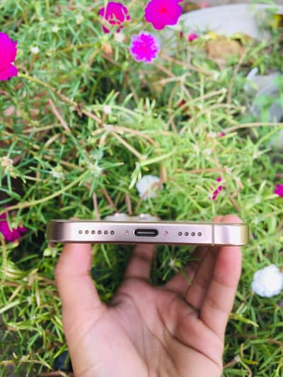 Apple iPhone 16 Pro Max bypass