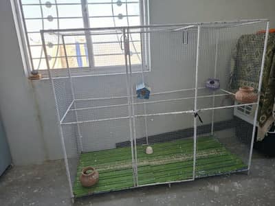 Parrots cage