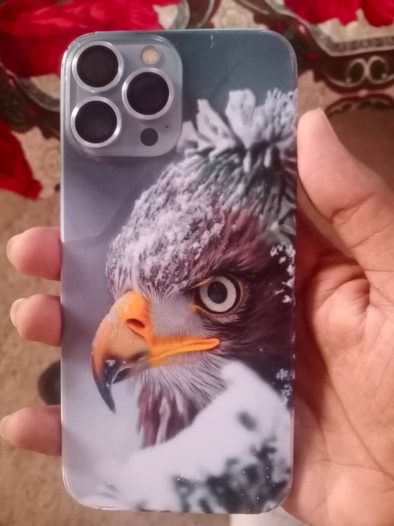Apple iPhone 13 Pro Max 1