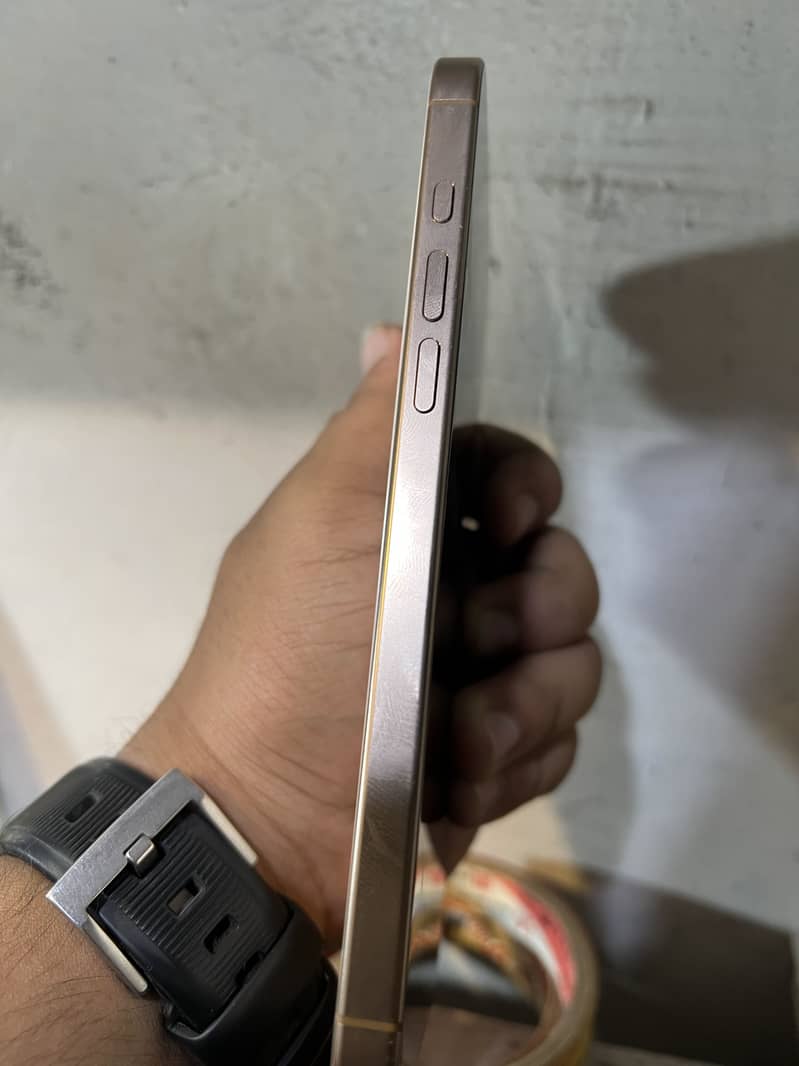Apple iPhone 16 Pro Max 2