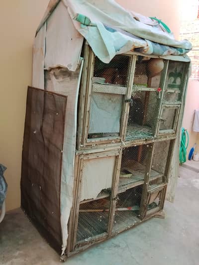 birds cage.
