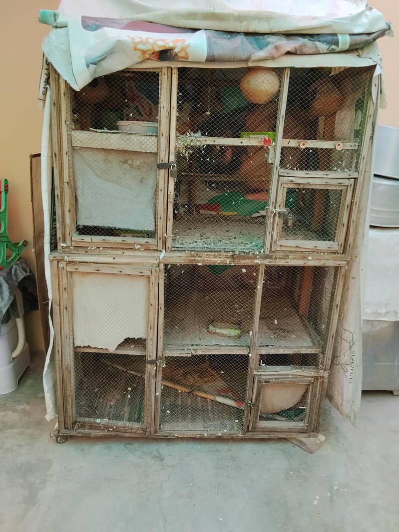 birds cage. 1