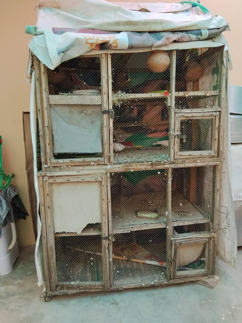 birds cage. 2