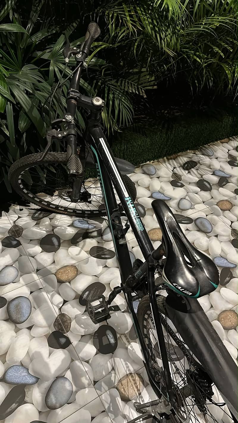 Shimano cycle 0