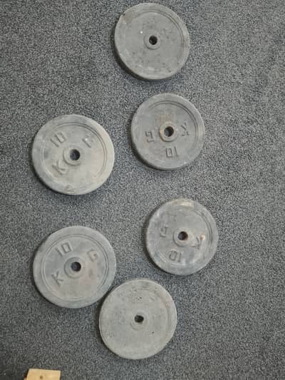 gym weight