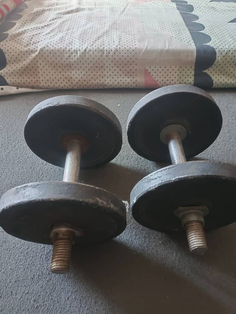 gym weight 1