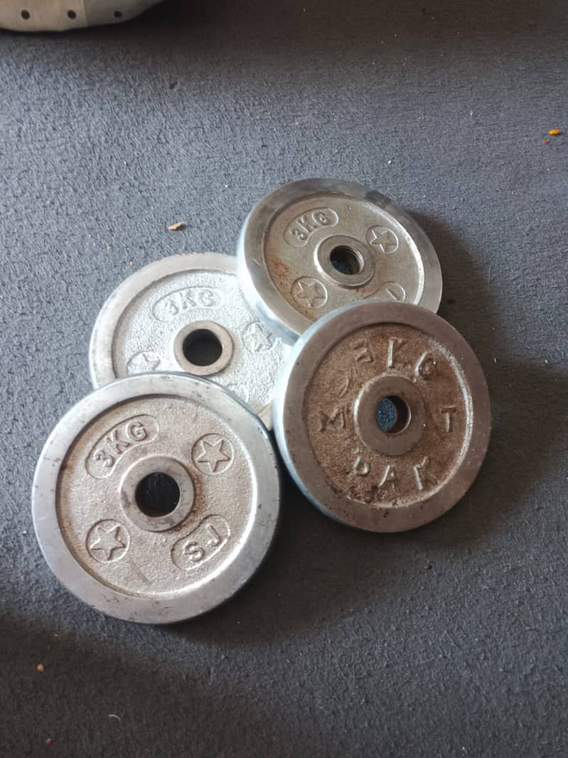 gym weight 6