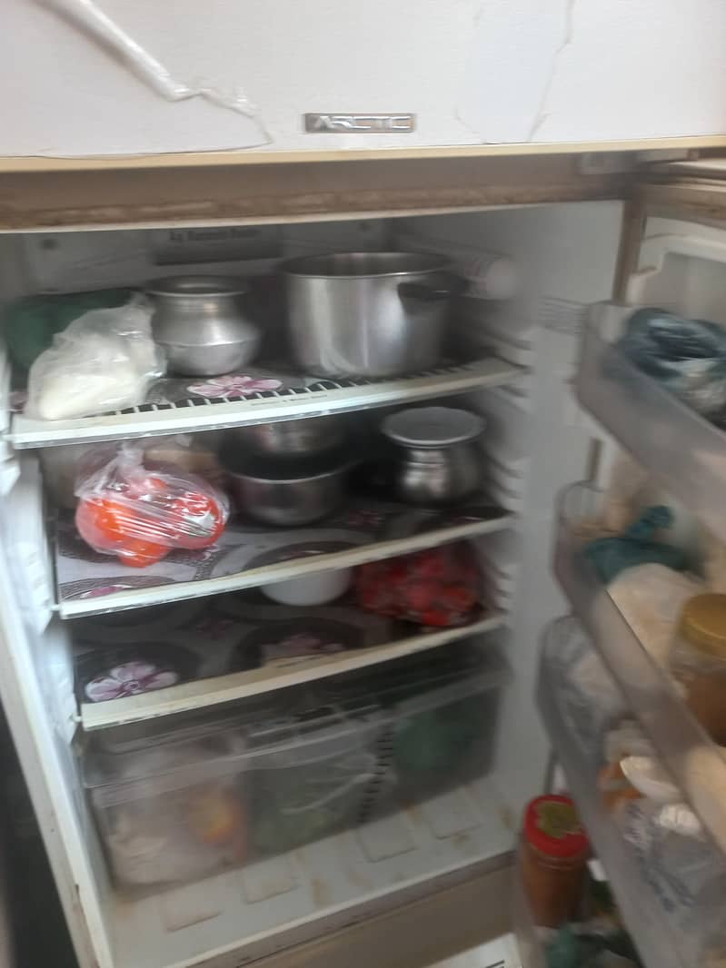 PEL REFRIGERATOR 2