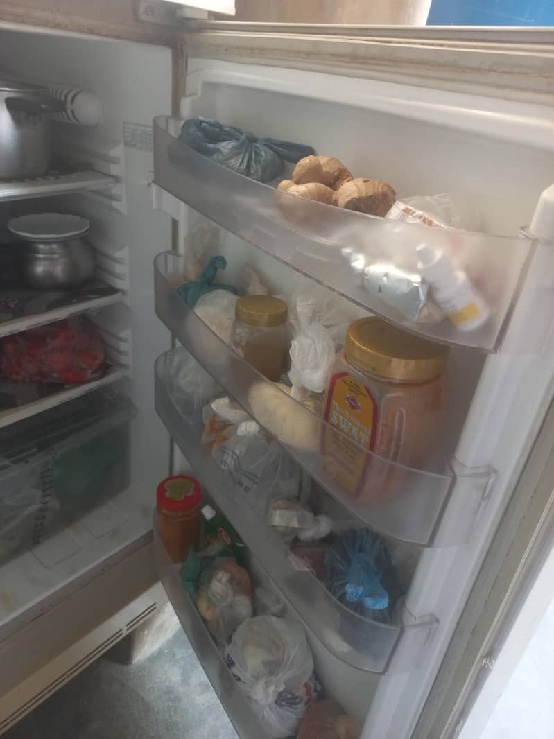 PEL REFRIGERATOR 3