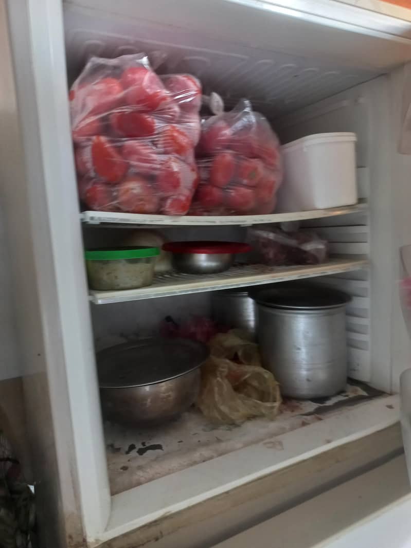 PEL REFRIGERATOR 4