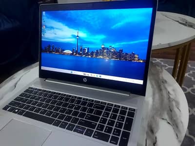 HP ProBook 450 G7 (10th Gen)