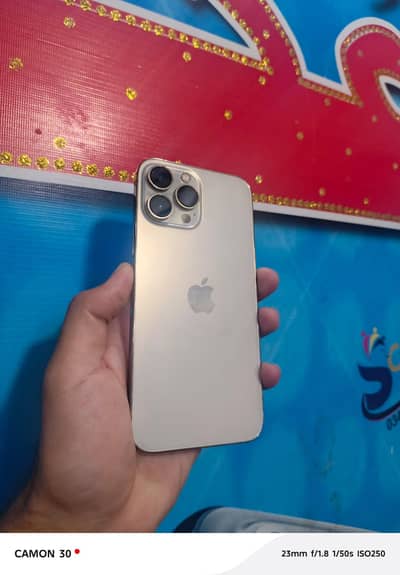 Apple iPhone 13 Pro Max