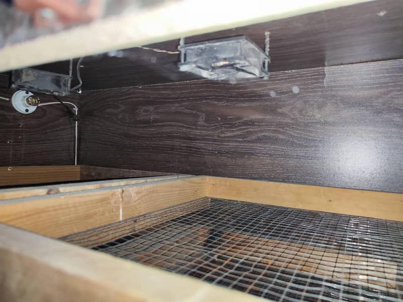 Custom Made Incubator 5