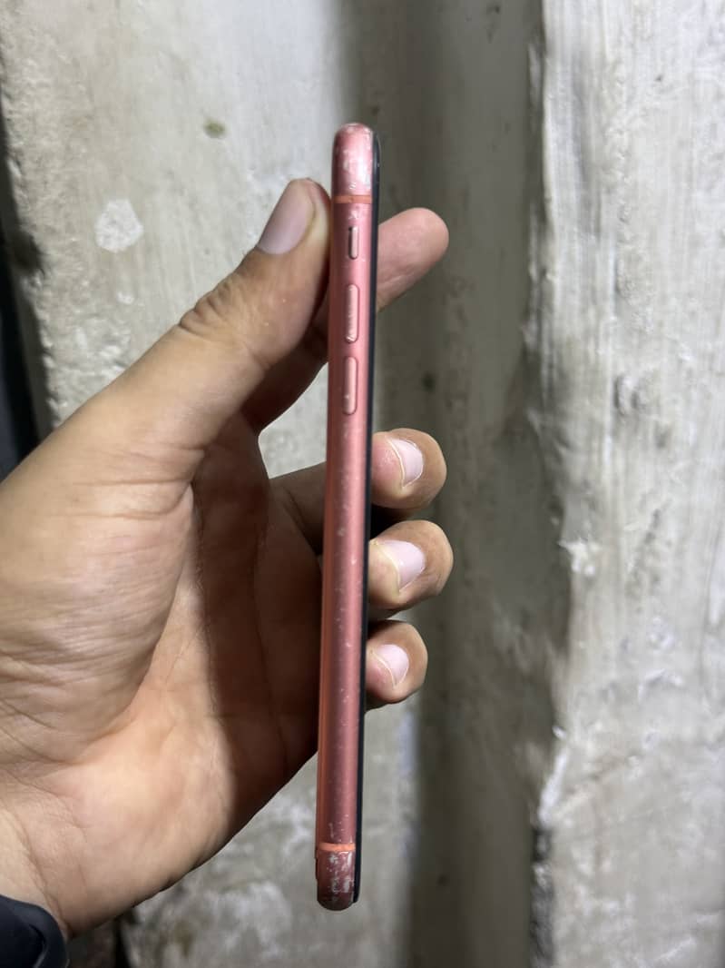 Apple iPhone XR 1
