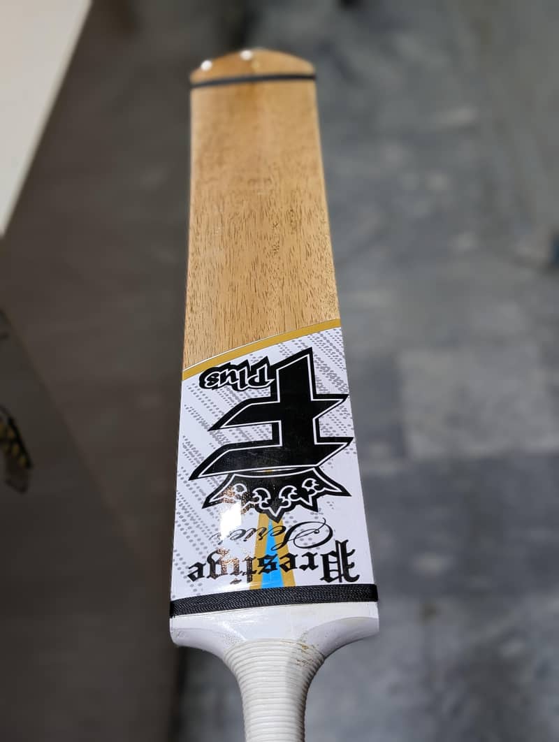 orignal coconut bat 5