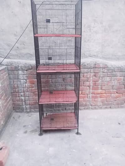 Birds Cage 4 portion