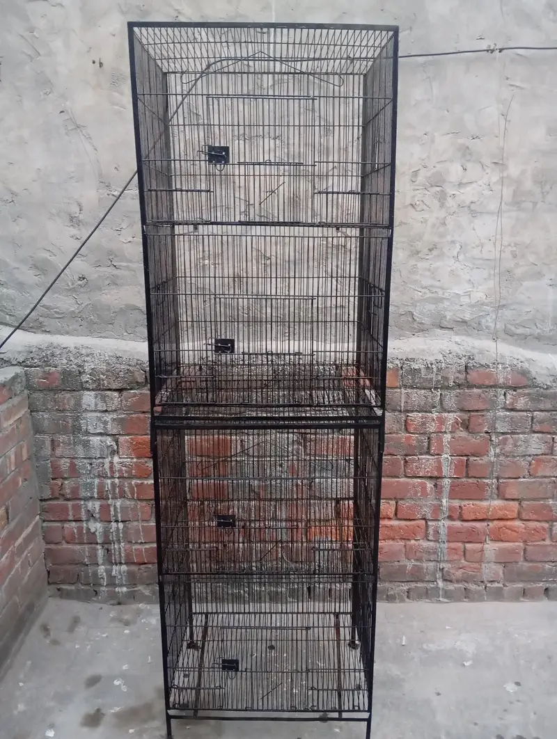 Birds Cage 4 portion — photo 3
