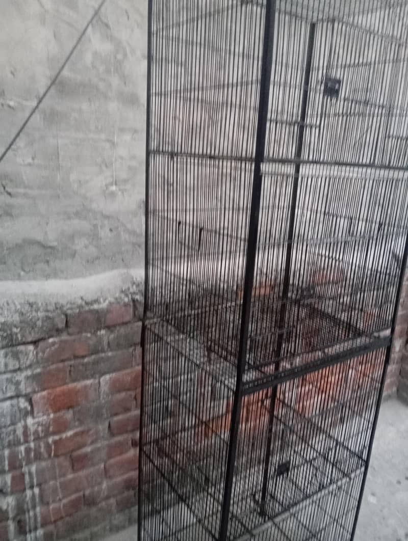 Birds Cage 4 portion 4