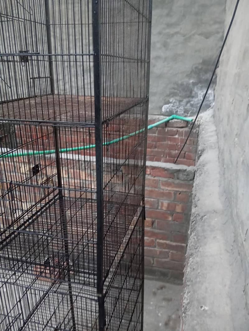 Birds Cage 4 portion 5