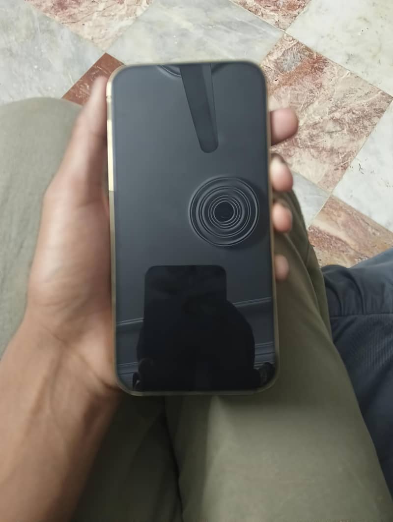 Apple iPhone 13 Pro Max 0