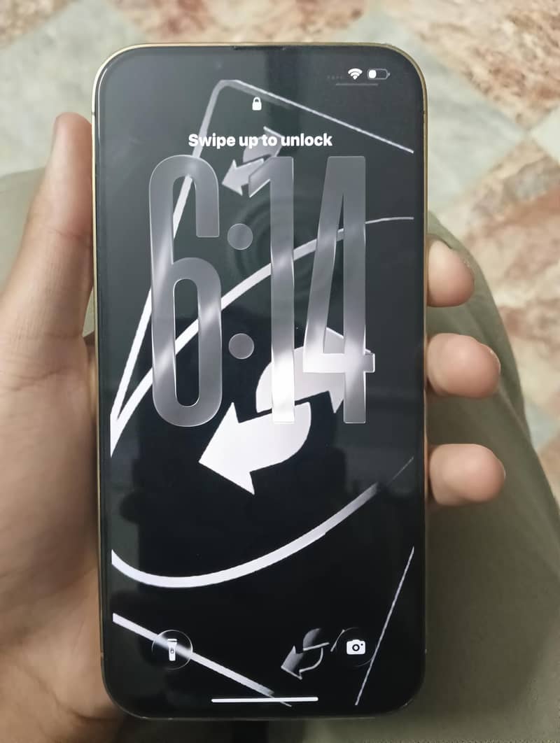 Apple iPhone 13 Pro Max 1