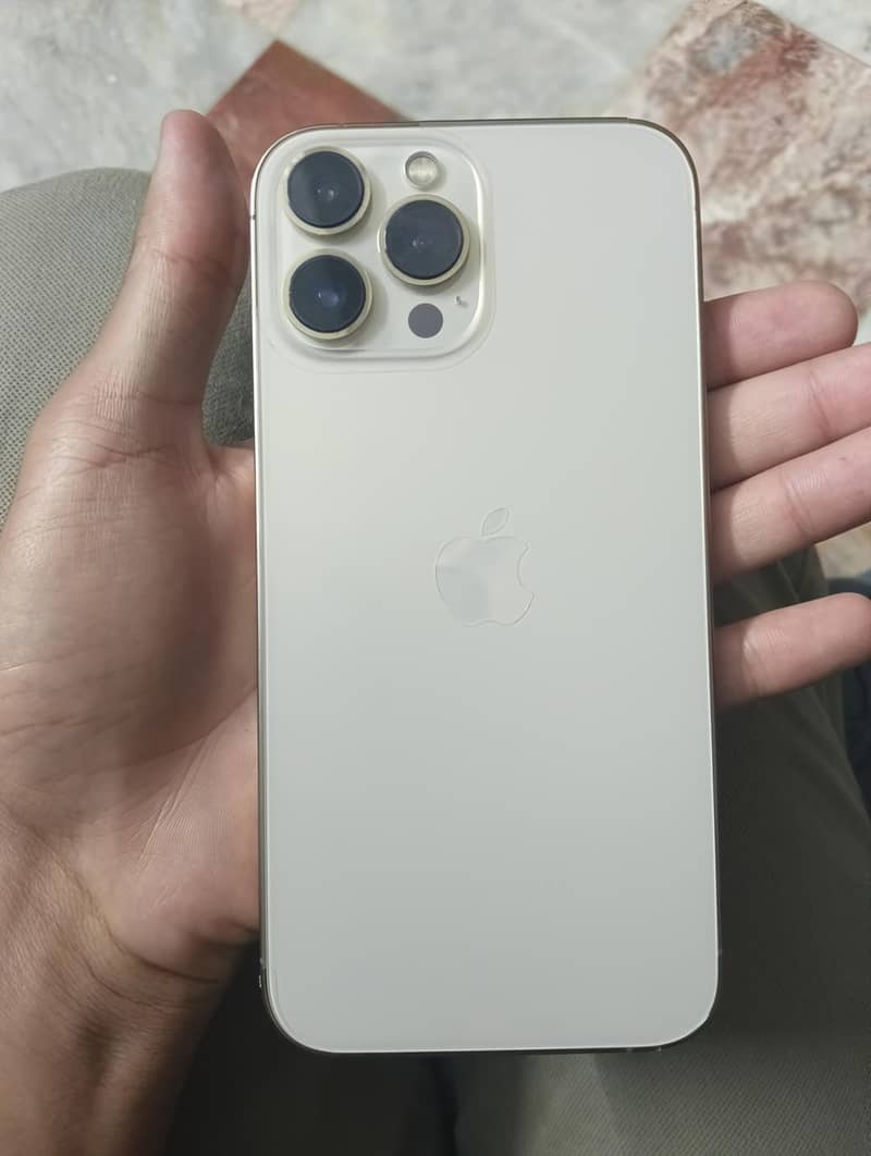 Apple iPhone 13 Pro Max 2
