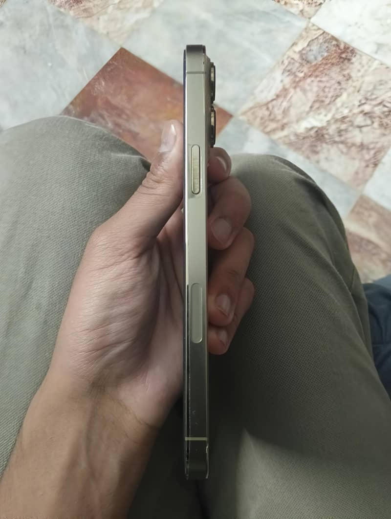 Apple iPhone 13 Pro Max 4