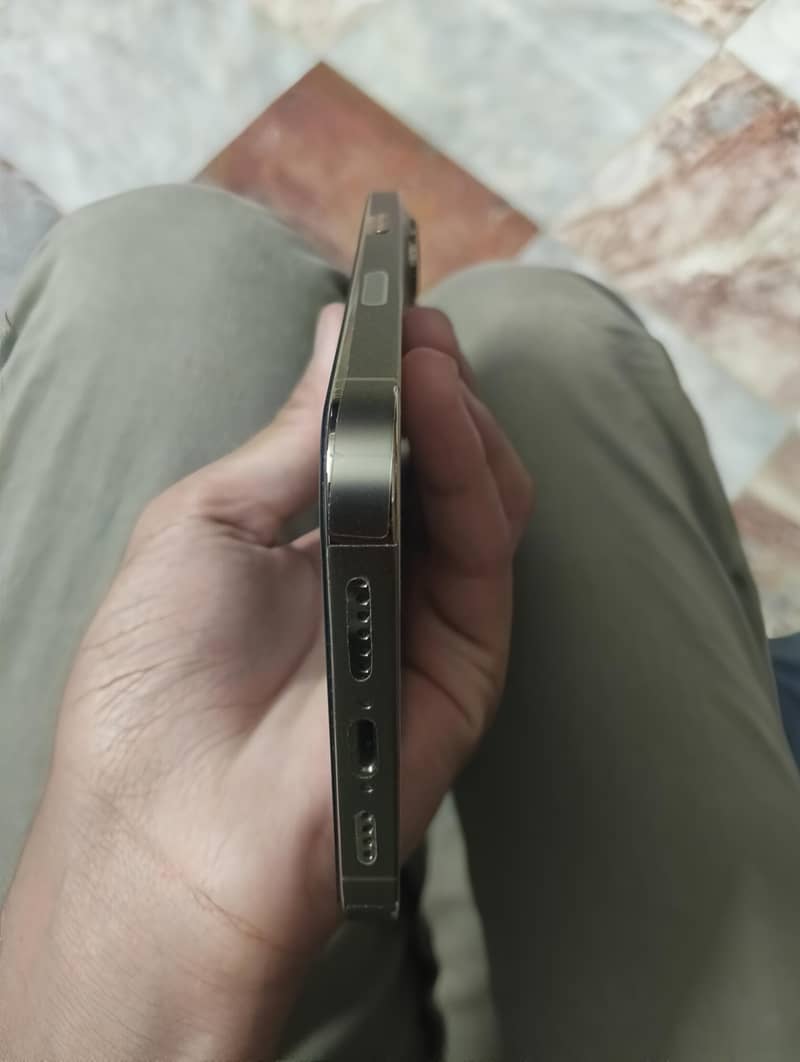 Apple iPhone 13 Pro Max 9