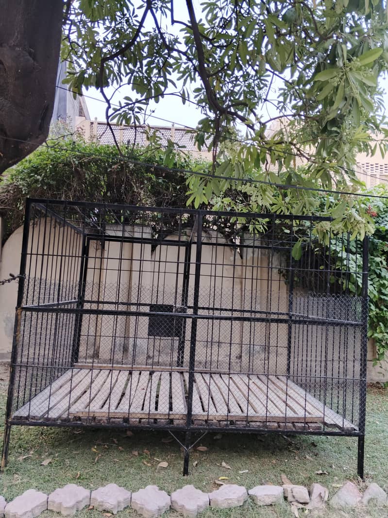 heavy cage 0