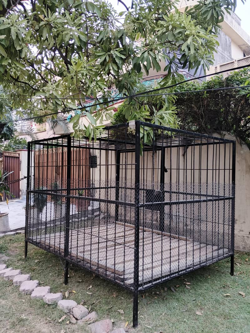 heavy cage 1