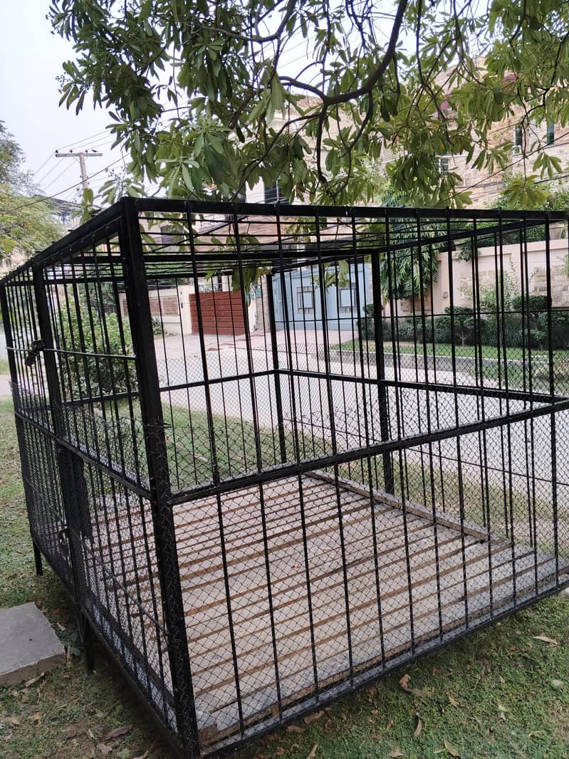heavy cage 2