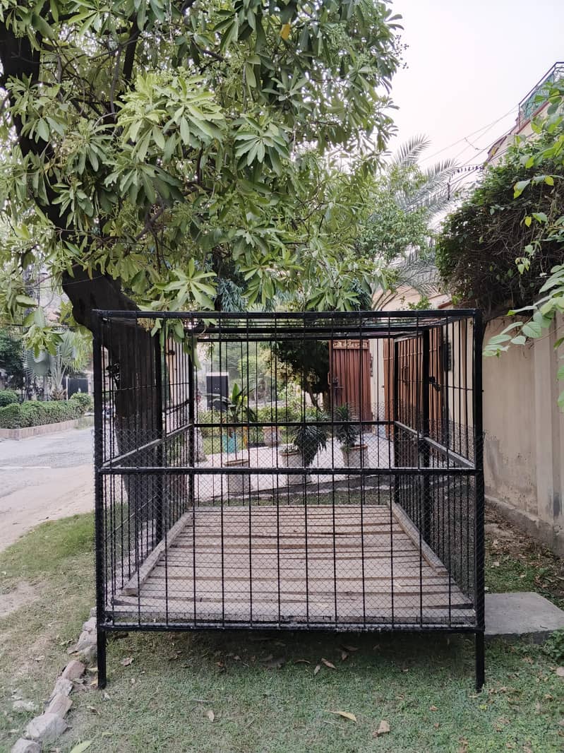 heavy cage 4