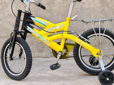 CASPIAN IMPORTED CYCLE