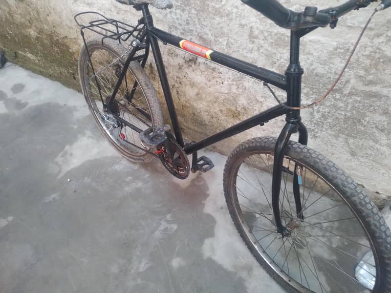phonex cycle 1