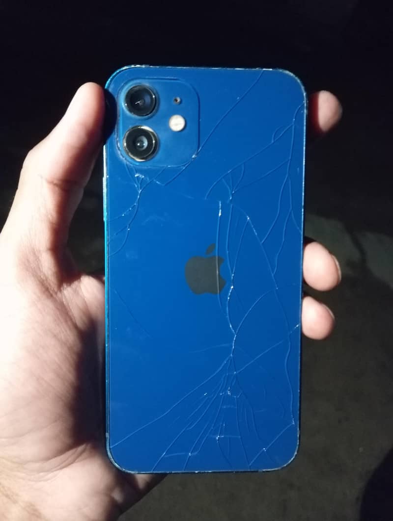 Apple iPhone 12 1