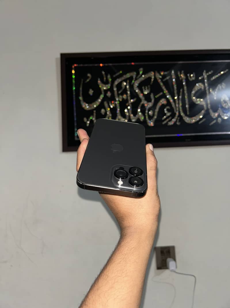 Apple iPhone 13 Pro Max 1