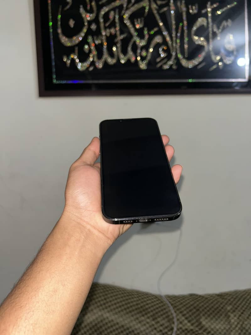 Apple iPhone 13 Pro Max 2