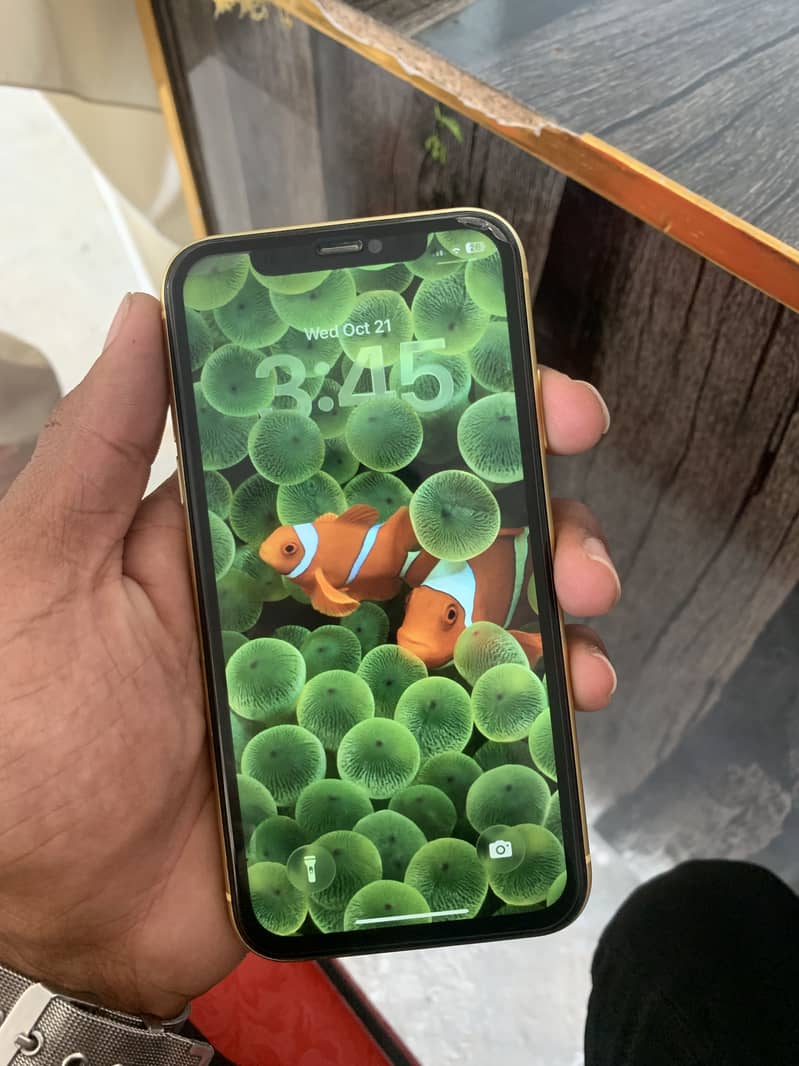 Apple iPhone 11 1