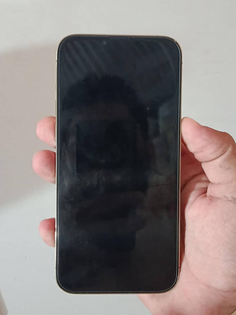 Apple iPhone 13 Pro Max 2