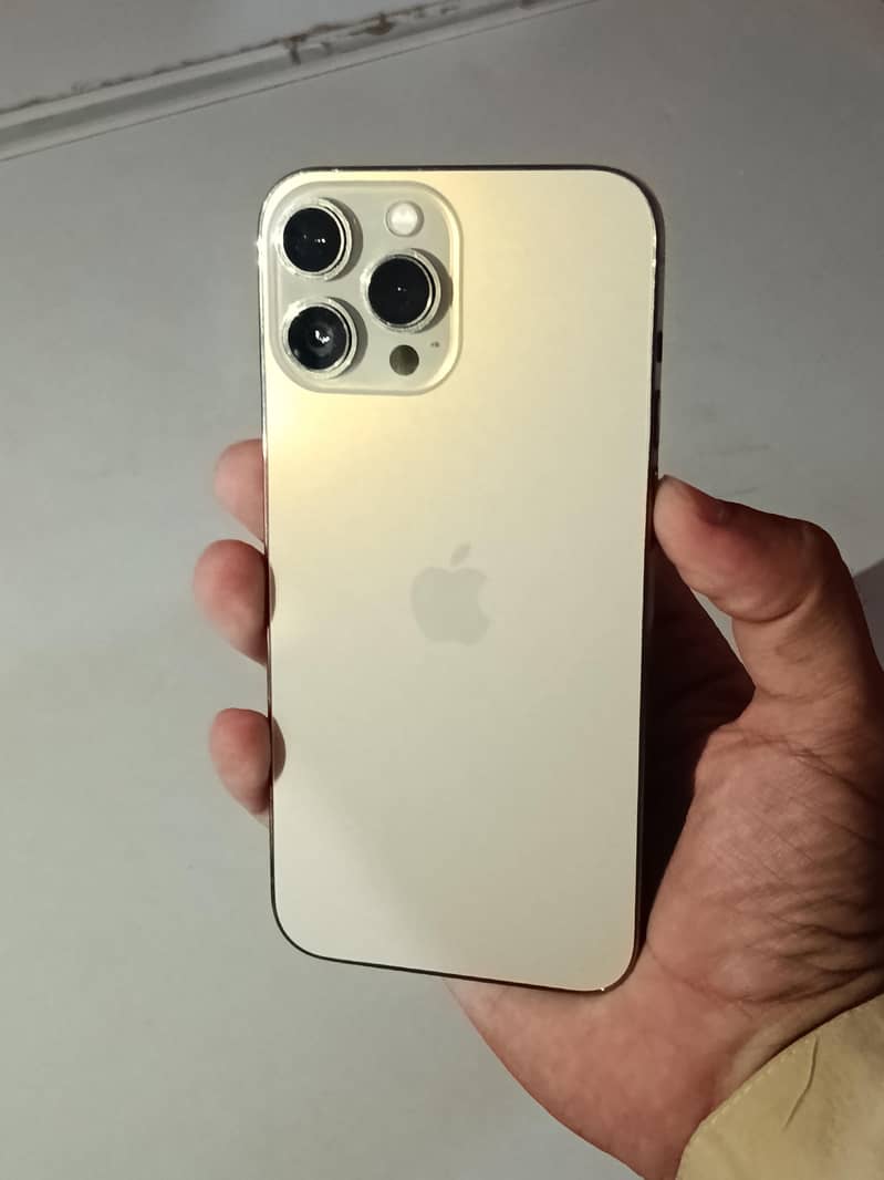 Apple iPhone 13 Pro Max 3
