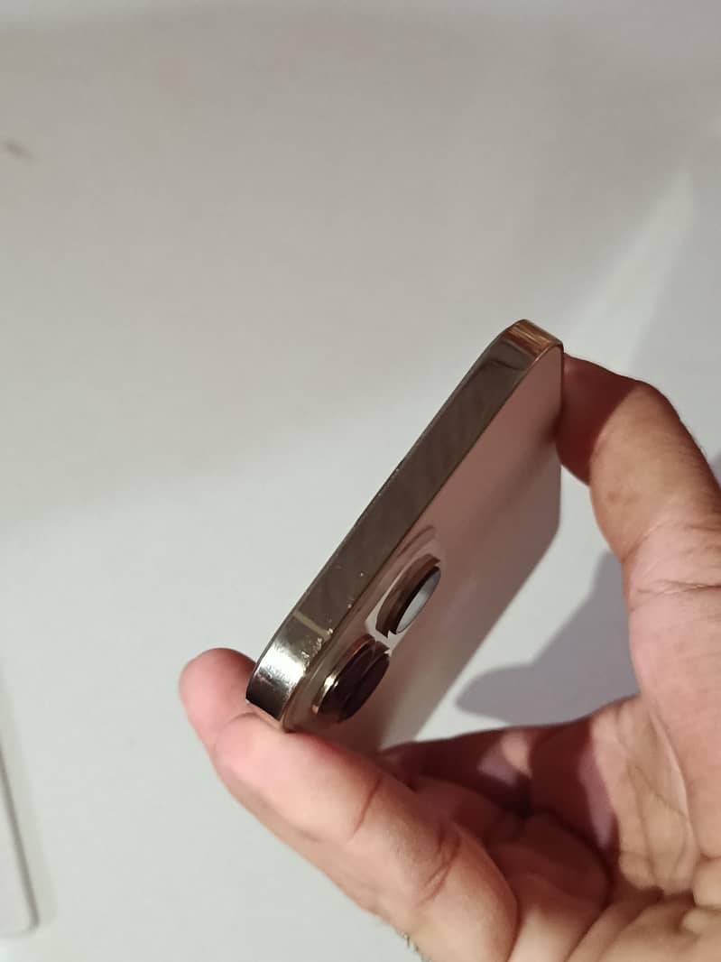 Apple iPhone 13 Pro Max 5