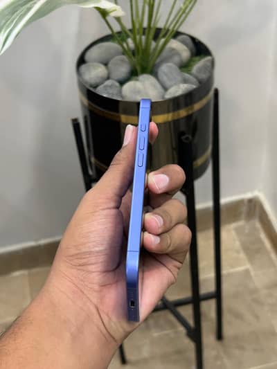 Apple iPhone 16