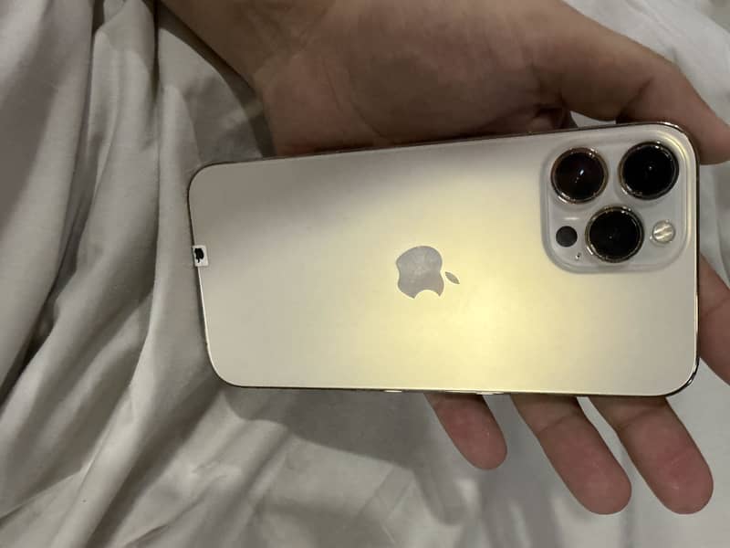 Apple iPhone 13 Pro Max 0