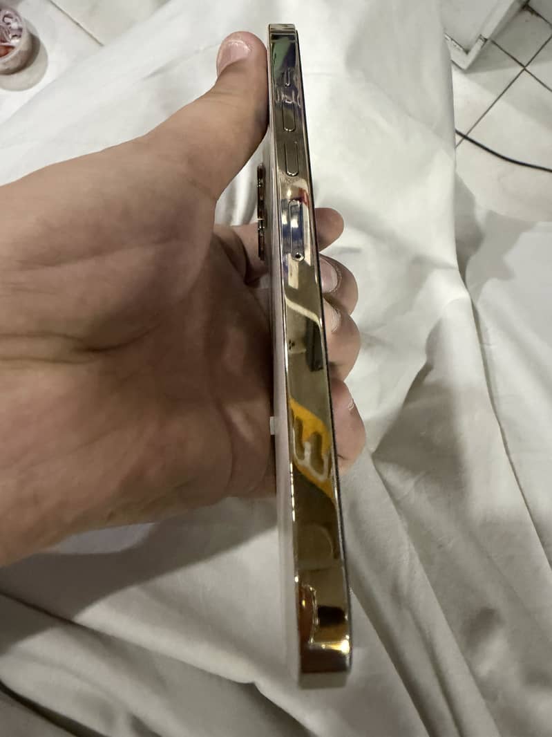 Apple iPhone 13 Pro Max 1