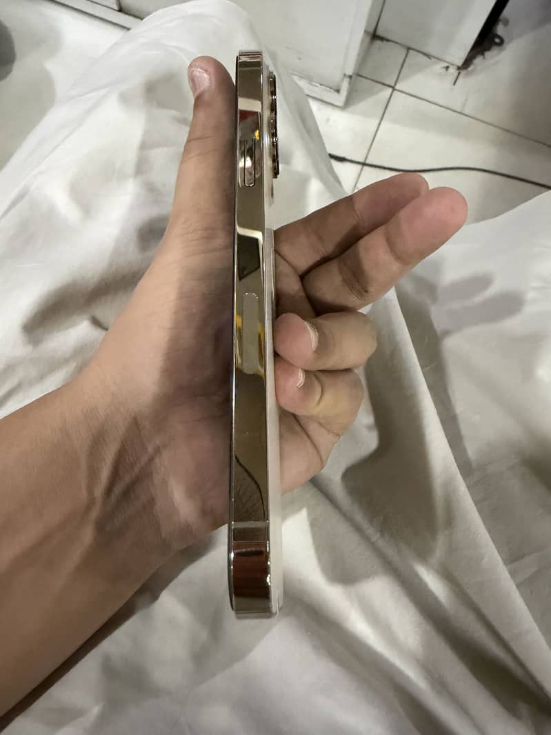 Apple iPhone 13 Pro Max 3