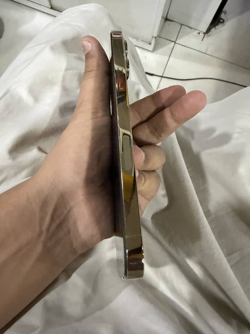 Apple iPhone 13 Pro Max 5