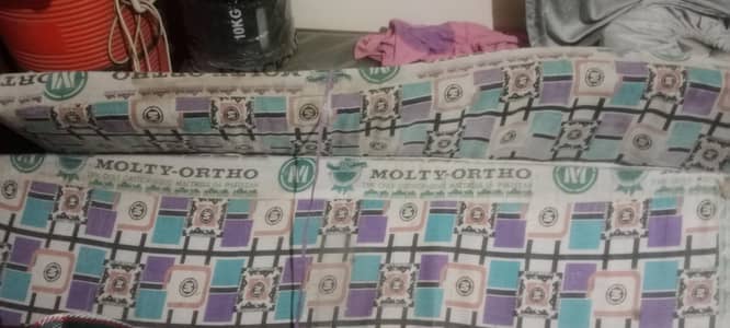 Ortho Molty foam