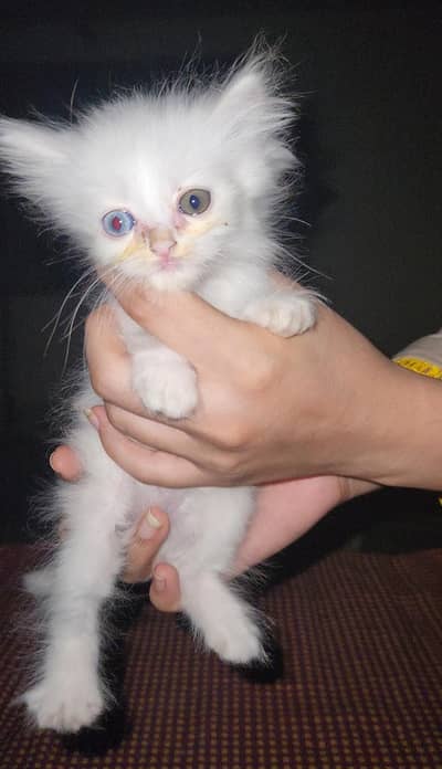 For sale