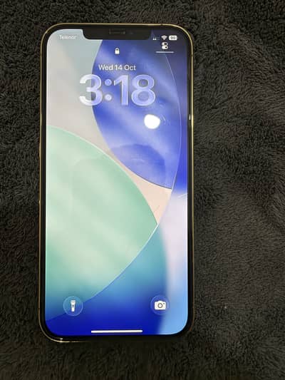 Apple iPhone 12 Pro Max PTA