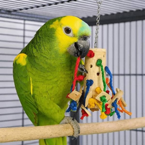 UK bird toys Parrot wood Puzzle Toy Pure Natural Colorful Wood Parrot Toys, parrot Soft hanging Toy & Rainbow Bridge for macao grey raw budgie cocktail love birds fishers Parrot Toys Chew Hanging Rope Small Ladder Stand Budgie Cockatiel Cage Bird Toy